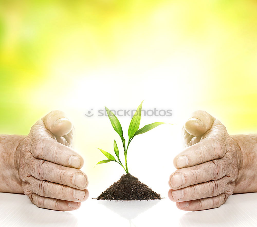 Similar – Image, Stock Photo Miniwelten