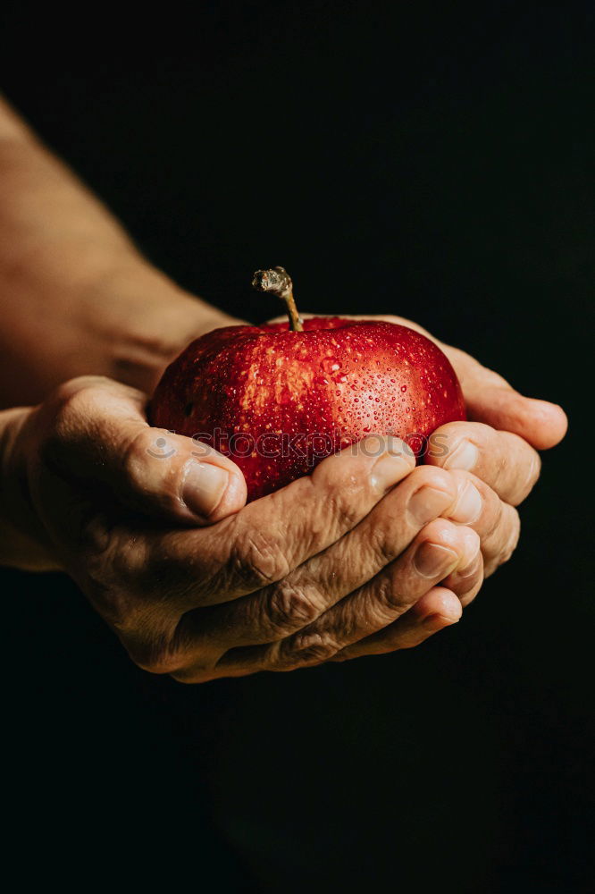 Similar – Flatlay of woman’s hands holding red ripe organic apples