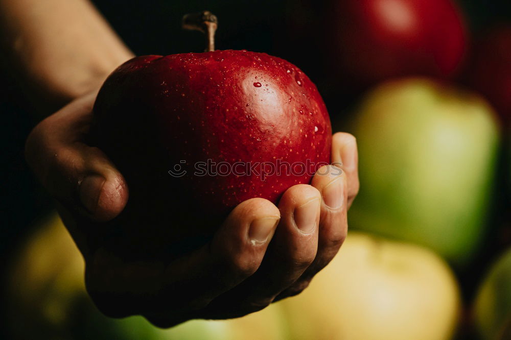 Similar – Flatlay of woman’s hands holding red ripe organic apples