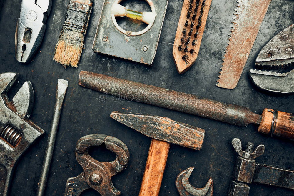Similar – Image, Stock Photo Bite me! Two pincers with eyes on an old wooden table