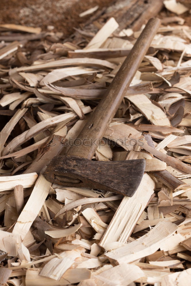 Similar – Image, Stock Photo spring cleaning