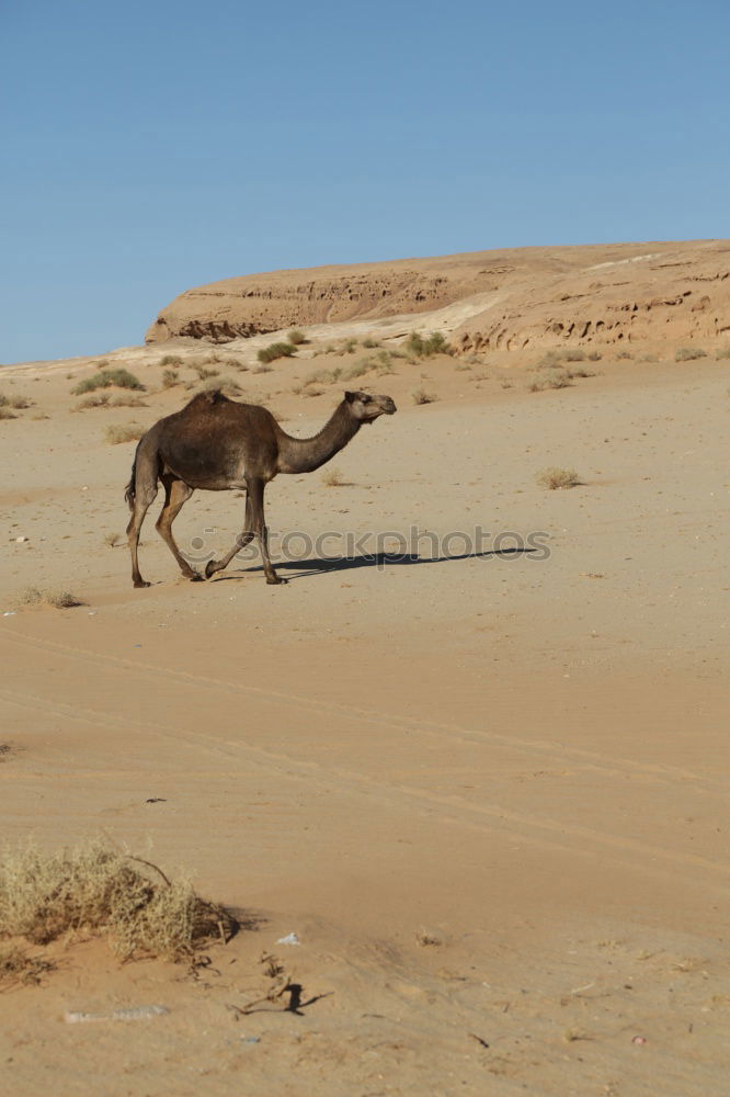 Similar – Image, Stock Photo from behind.