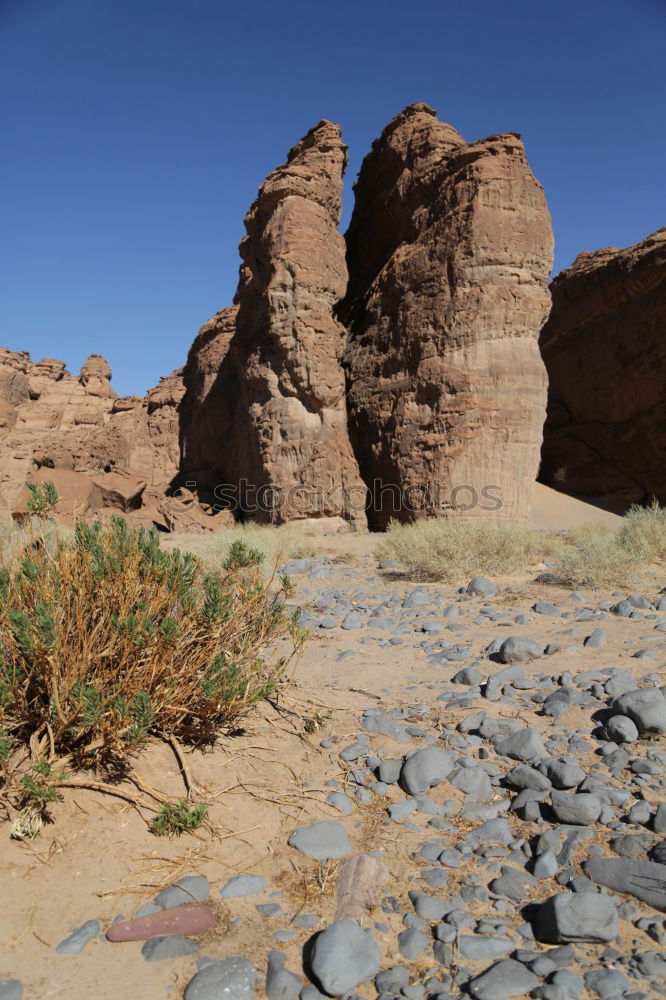 Similar – Image, Stock Photo Desert Landscape in Utah