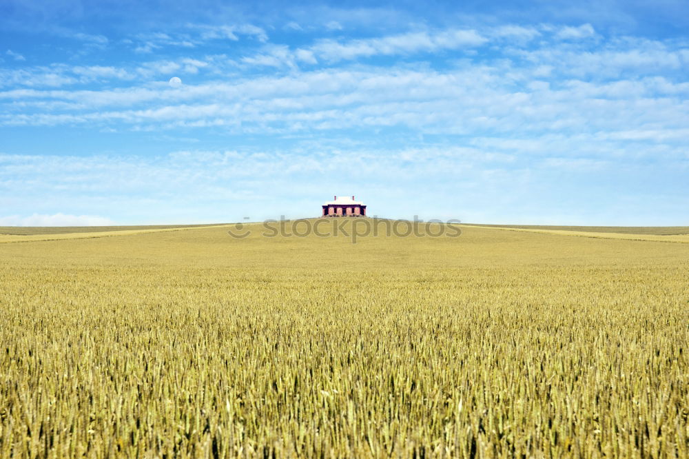 Similar – A shed Barn Field Blue