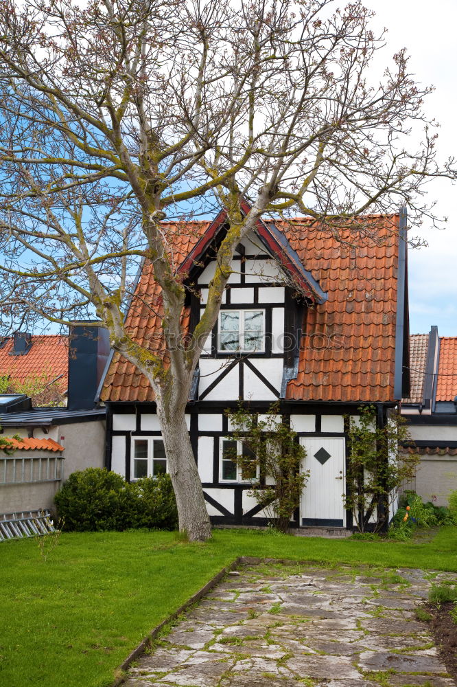 Similar – Image, Stock Photo neighbors Sky Plant Tree