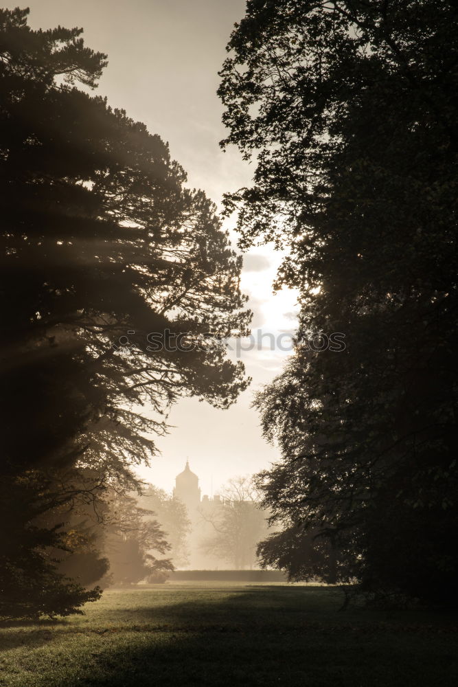 Similar – Image, Stock Photo Sunset in Heeg #3 Clouds