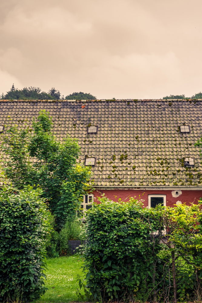 Similar – Foto Bild Schon trocken… Weimar