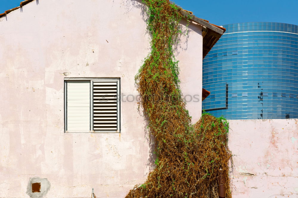 Image, Stock Photo roof garden Well-being