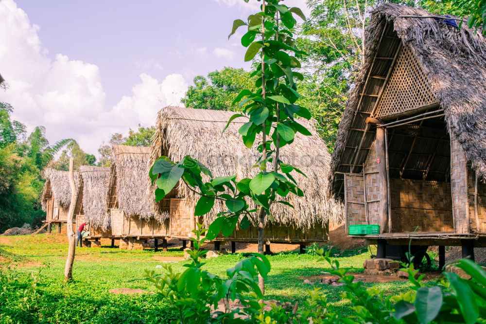 Similar – Image, Stock Photo Wooden house in forest