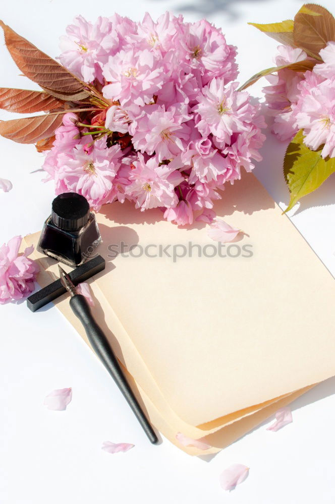 Similar – Image, Stock Photo Notebook with clean white sheets