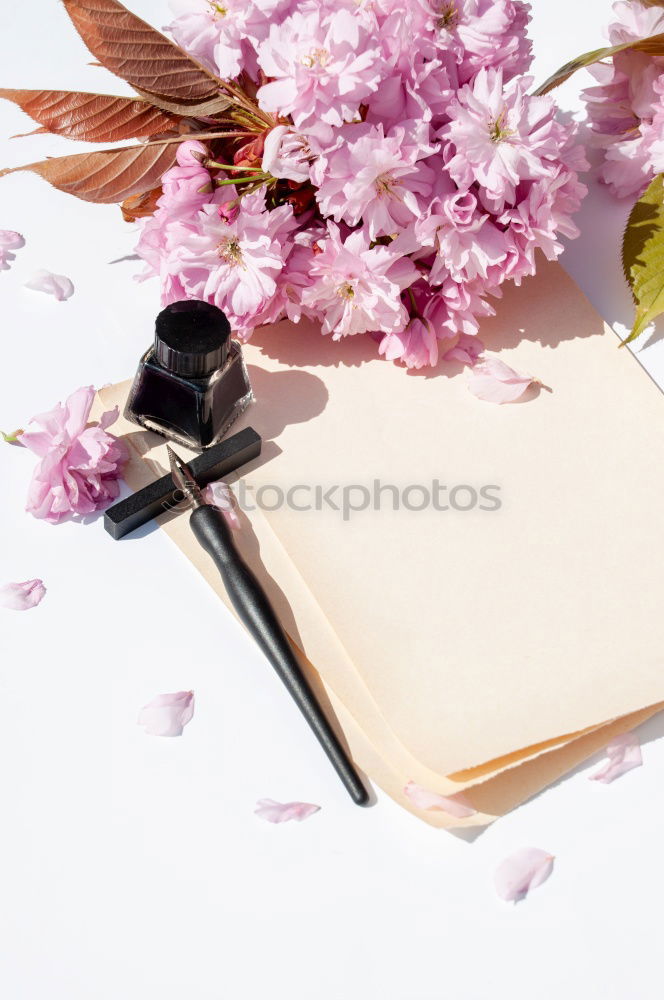 Similar – Image, Stock Photo Tablet PC with blank screen on pink background