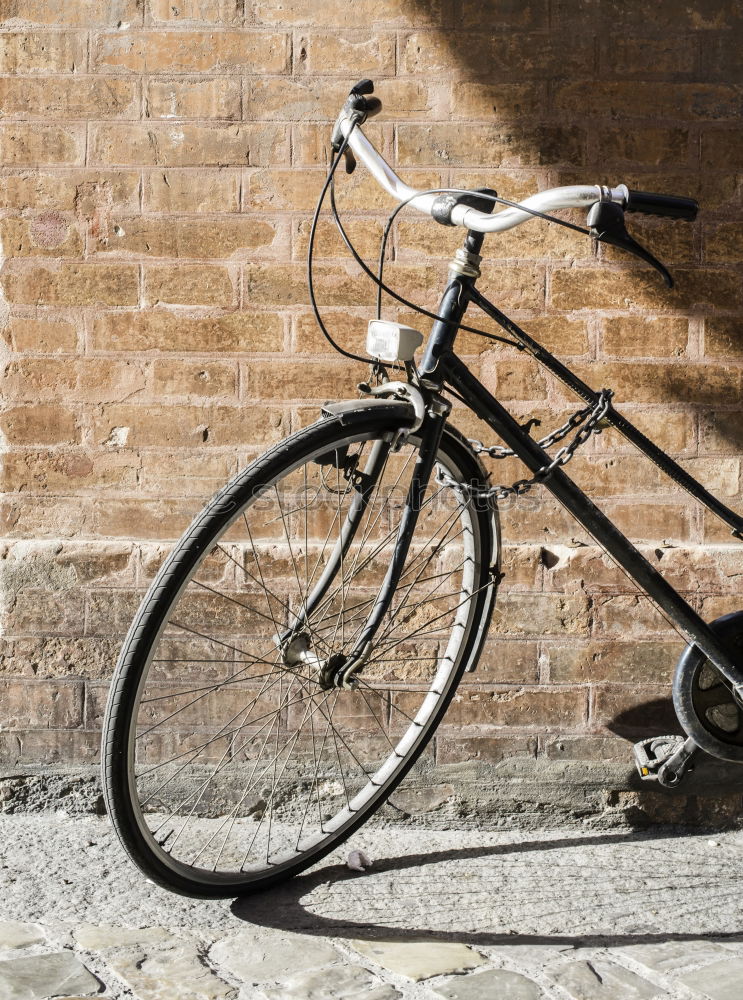 Old, broken bicycle lies on the sidewalk