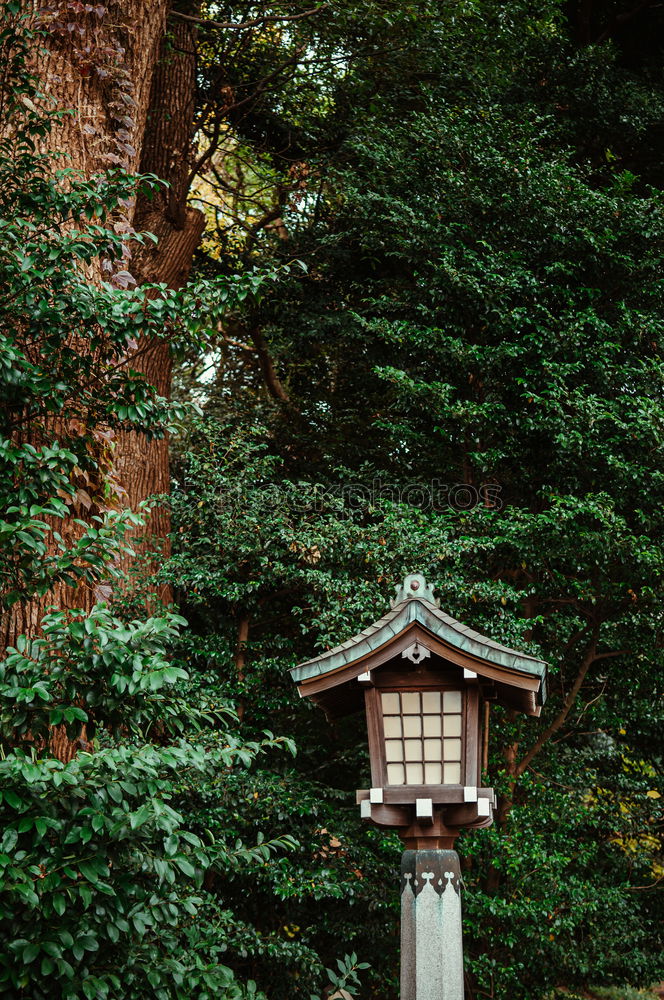 Similar – Japanese arches and path