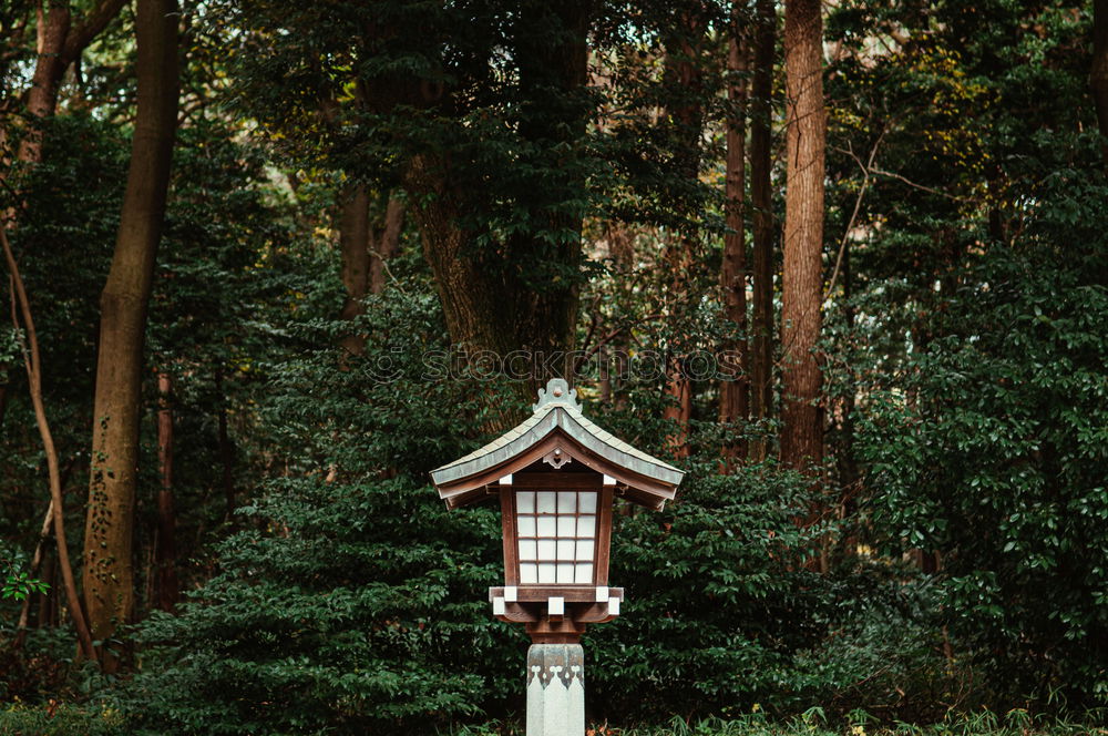 Similar – Image, Stock Photo Red pagoda in forest