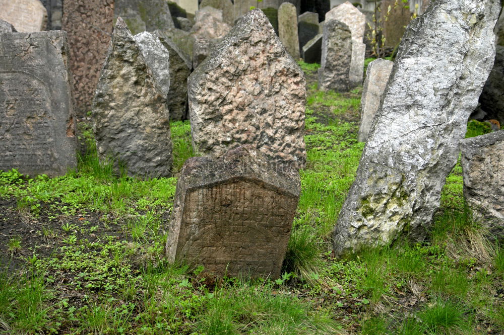 Similar – Image, Stock Photo Celtic tombstones in Cornwall