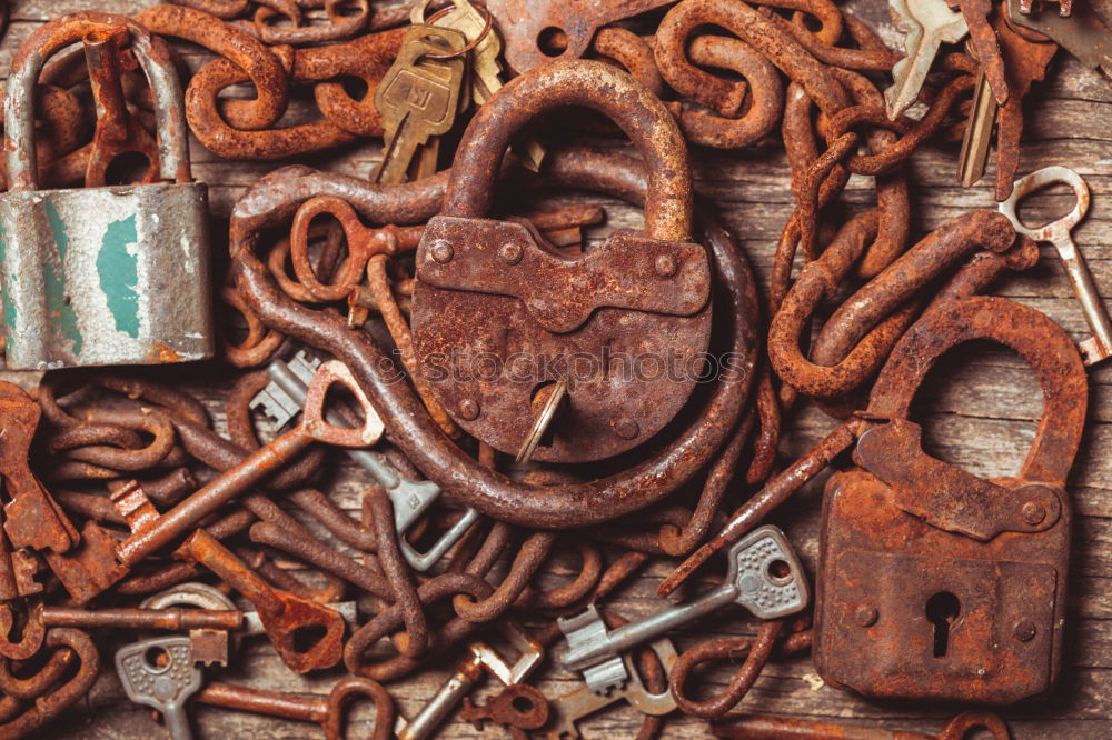 Similar – Image, Stock Photo Cracking nuts with different tools, arranged around crushed walnuts