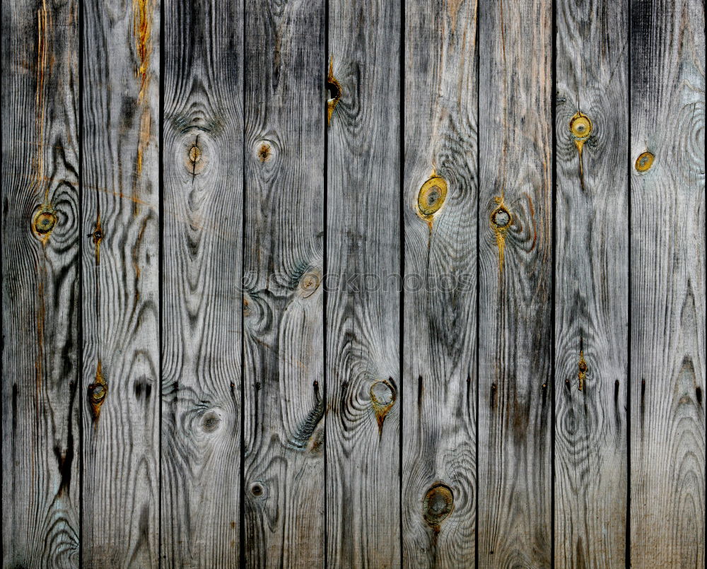 Similar – Image, Stock Photo gate Door Old Door handle