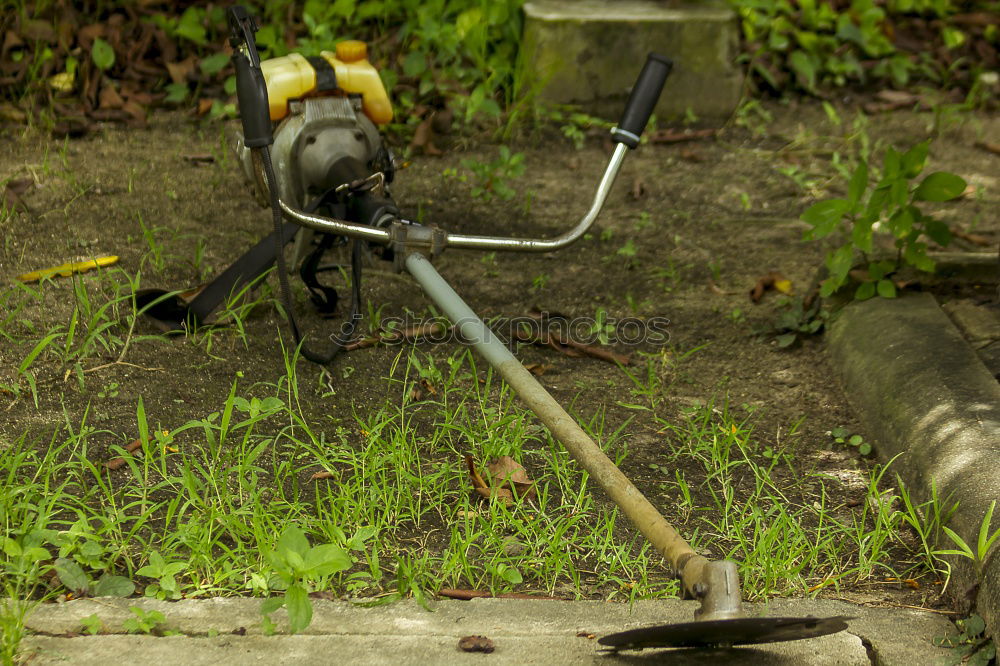 GartenLust Werkzeug Leben