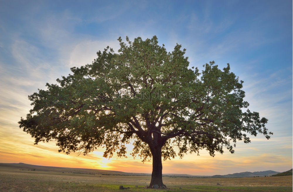 Similar – Image, Stock Photo Feel the warmth.