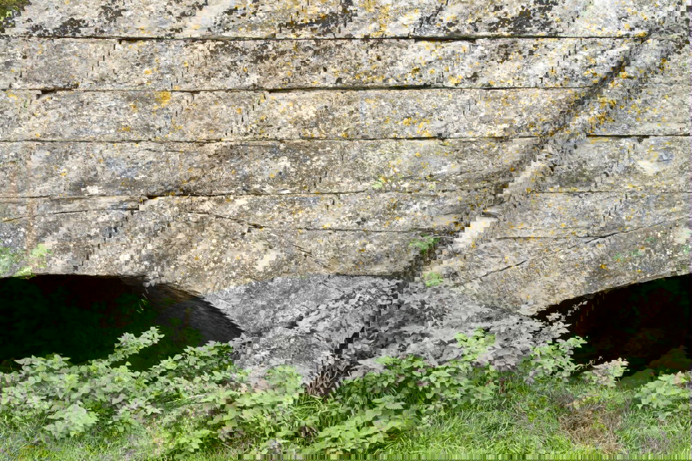 Similar – Image, Stock Photo Old mill wheel on rock with water channel