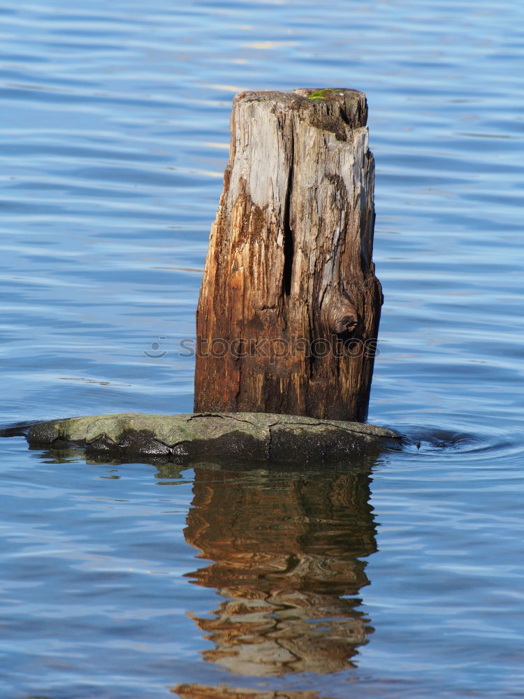 Similar – Image, Stock Photo port1 Sailing Wood