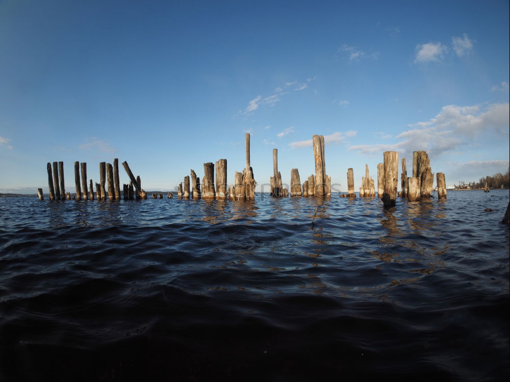 Similar – Image, Stock Photo To each his Venice