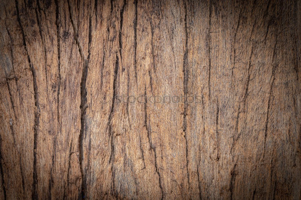 Similar – Image, Stock Photo old weathered wood surface of a door