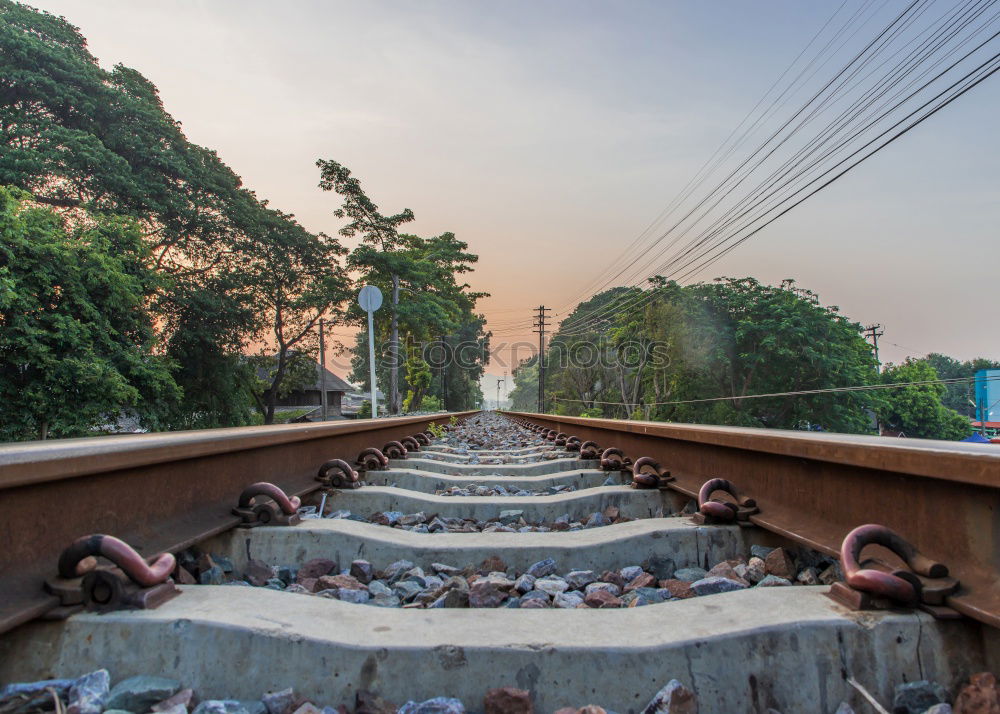 Similar – Image, Stock Photo train ride Nature