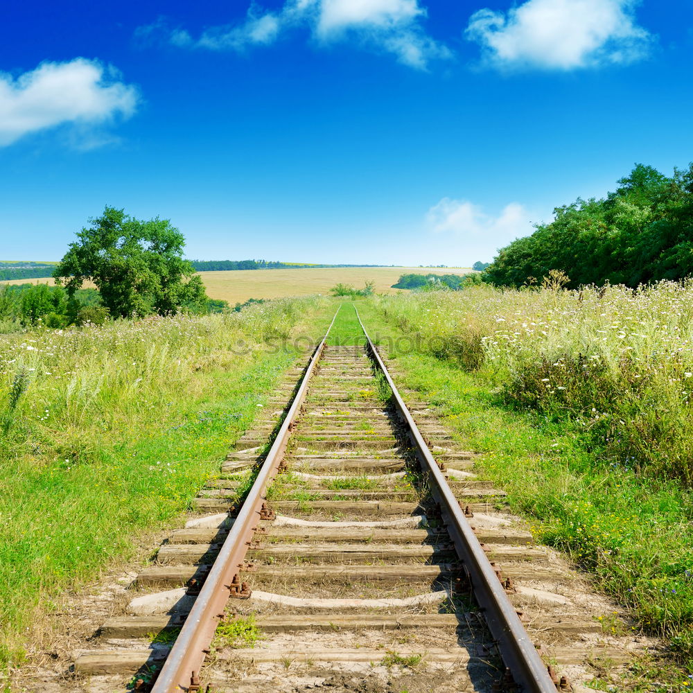 Similar – Image, Stock Photo colored rails Environment