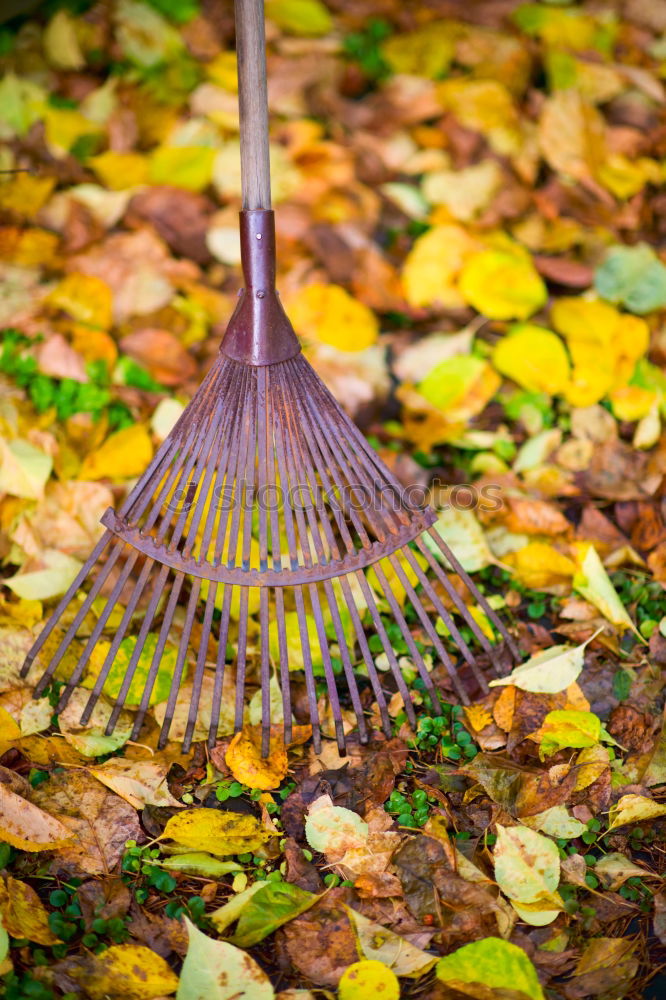 Similar – Image, Stock Photo Wheelbarrow with leaves in autumn