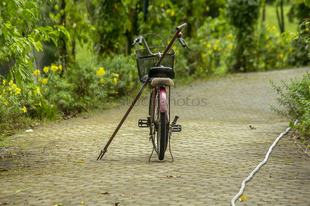 Similar – Altes, kaputtes Fahrrad liegt auf dem Gehweg