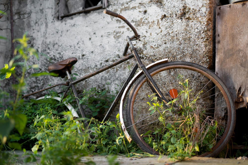 Similar – Image, Stock Photo turned off Hut Bicycle