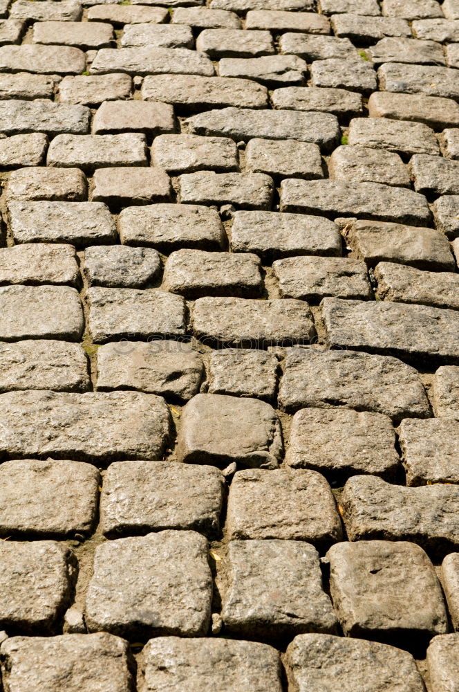 Similar – Foto Bild Straßenmuster blau braun