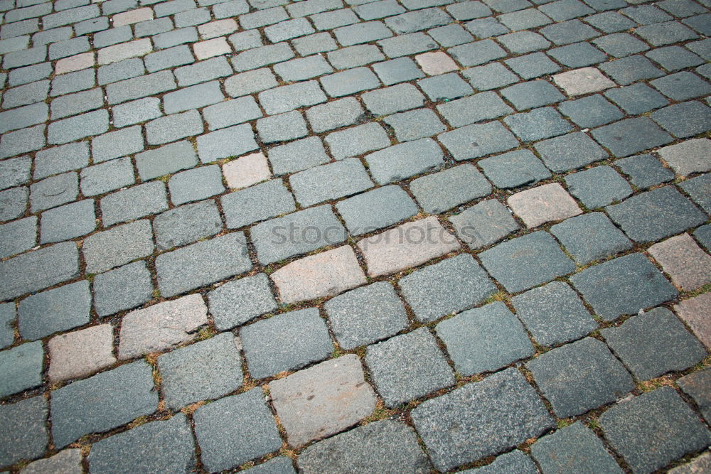 Similar – Image, Stock Photo White line Traffic lane