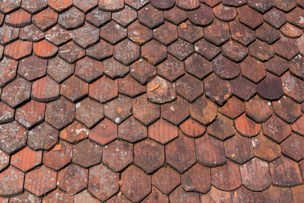 Similar – Image, Stock Photo The small roof window seemed to be lost and useless for a long time between the many red and meanwhile also weathered beavertail tiles