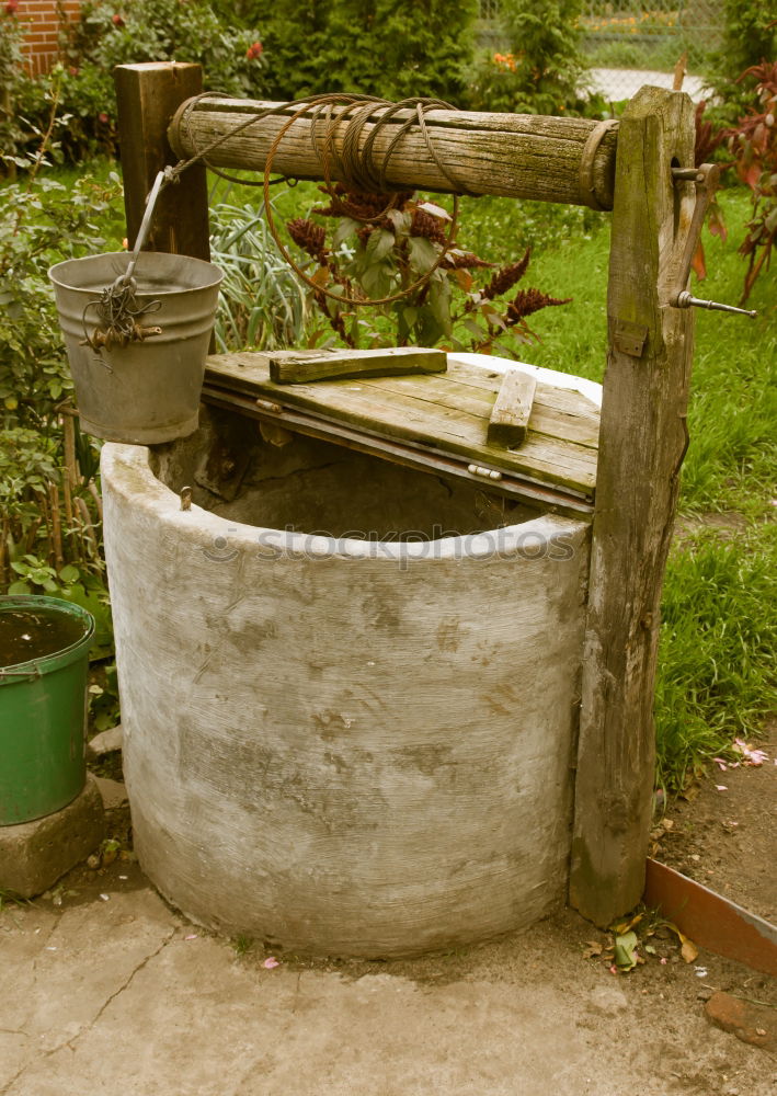 Colourful tap Gardening