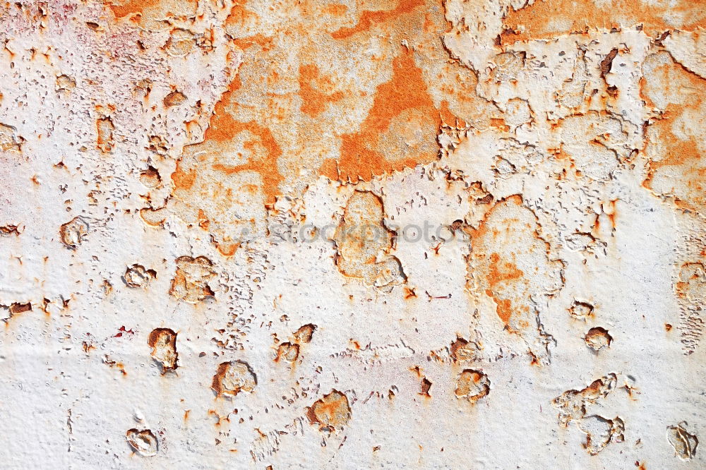 Similar – Oxidación Wand weiß