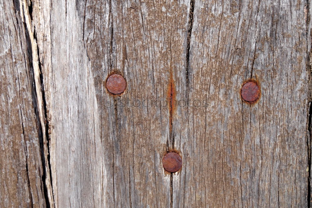 Similar – Image, Stock Photo knot hole Wood