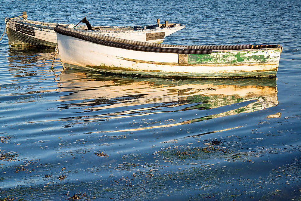 Similar – Foto Bild Wassermangel grasgrün See