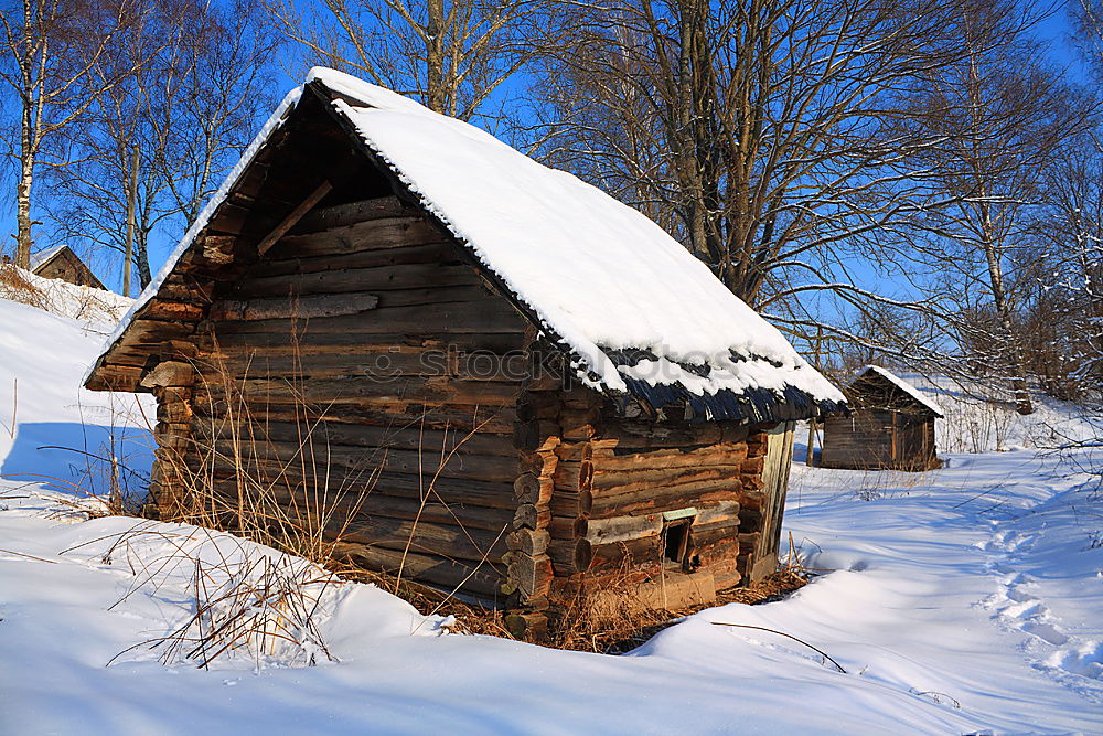 Cabin House Sweden