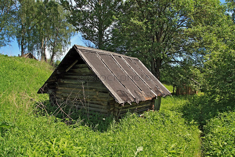 Foto Bild Hütte Holz Gras grün braun