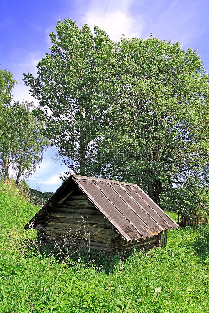 Similar – Foto Bild Hütte Holz Gras grün braun