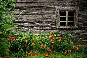 Similar – Image, Stock Photo shack Nature Plant Flower