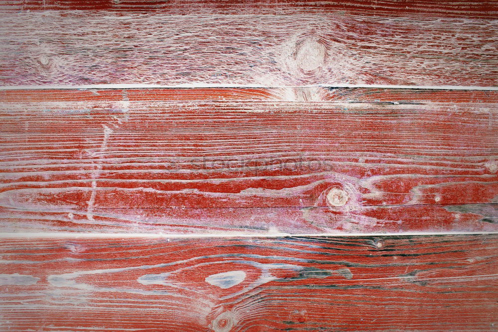 Similar – Image, Stock Photo footprints Red Footprint