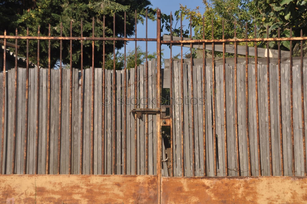 Similar – Image, Stock Photo Boy at the gate Cuba Green