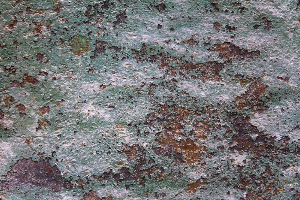 Similar – Lichen Growth Stone Plant