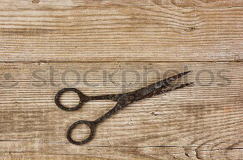 Similar – Image, Stock Photo Tools of a tanner for working with leather