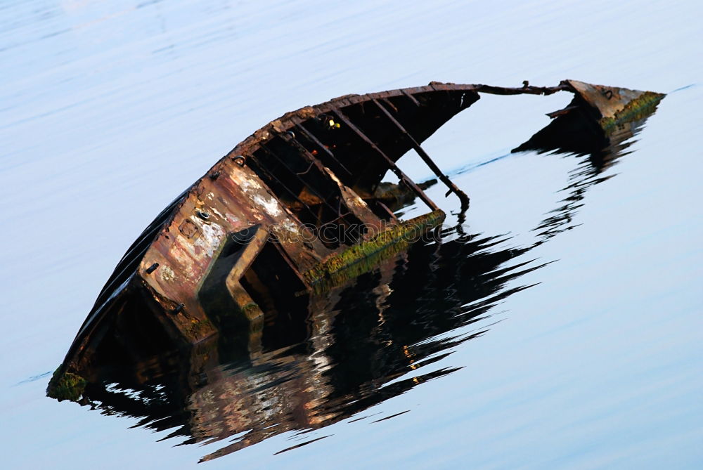 Similar – am See Steg Holz Möwe