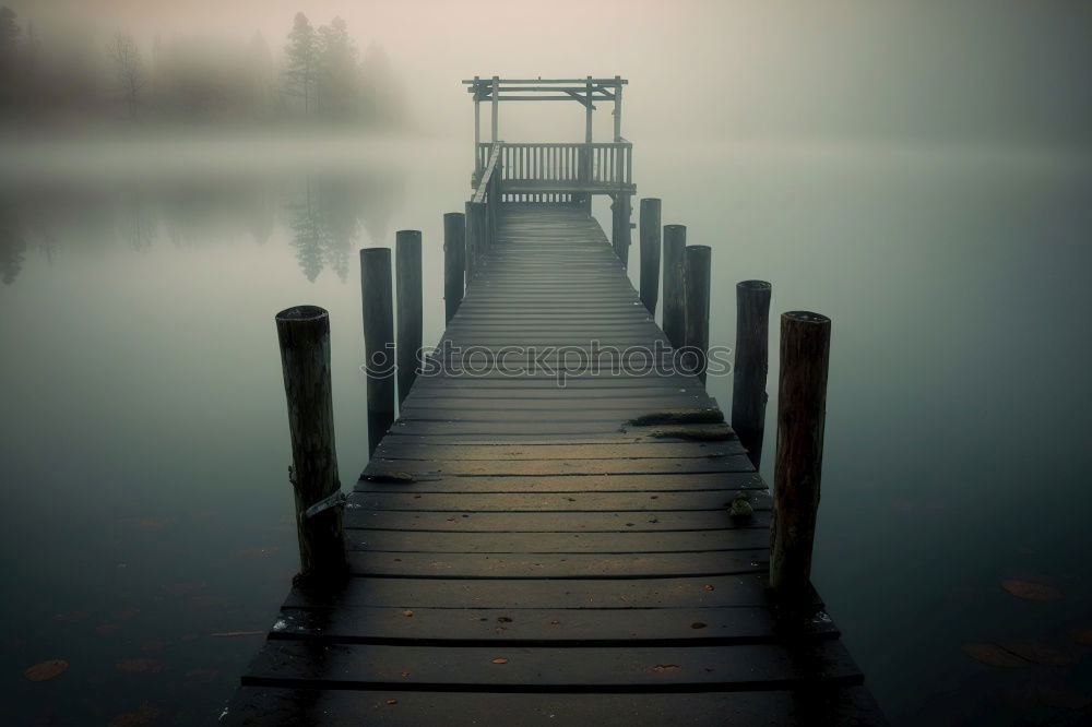 Südsee Umwelt Natur