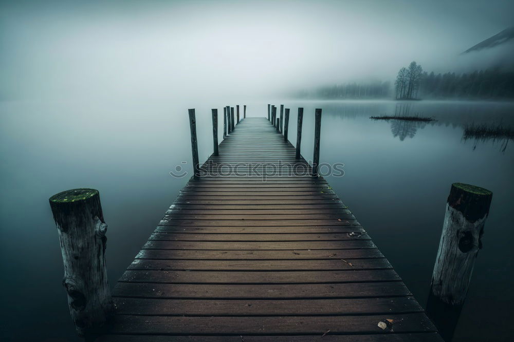 Similar – Südsee Umwelt Natur